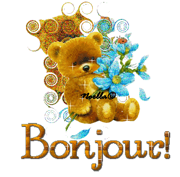 bonjour à tous !